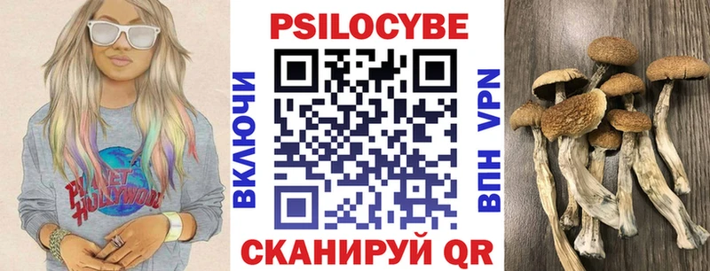 Псилоцибиновые грибы прущие грибы  Тырныауз 